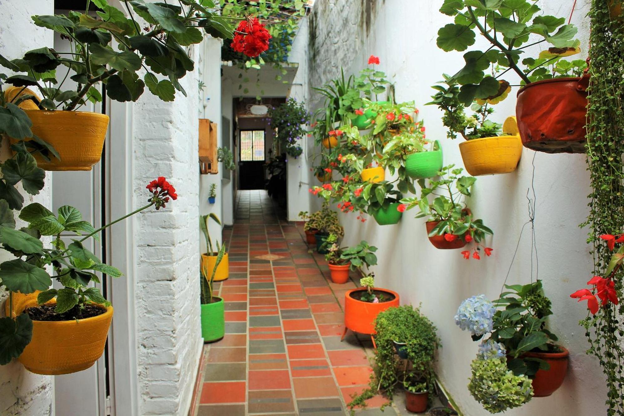 Hospedaje Los Capuchinos Socorro Buitenkant foto